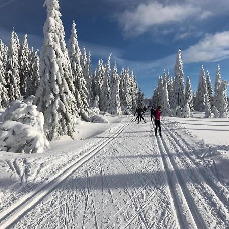 Apartmán Čihadla Bedřichov Esterno foto