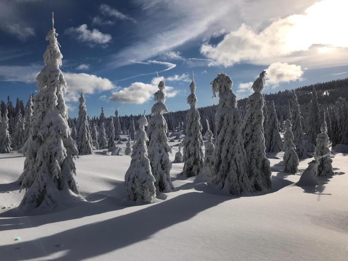 Apartmán Čihadla Bedřichov Esterno foto