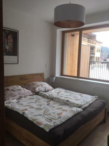 Apartmán Čihadla Bedřichov Esterno foto